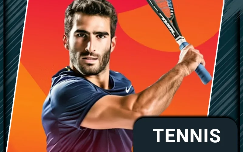 Bet on tennis matches at Stake India now.