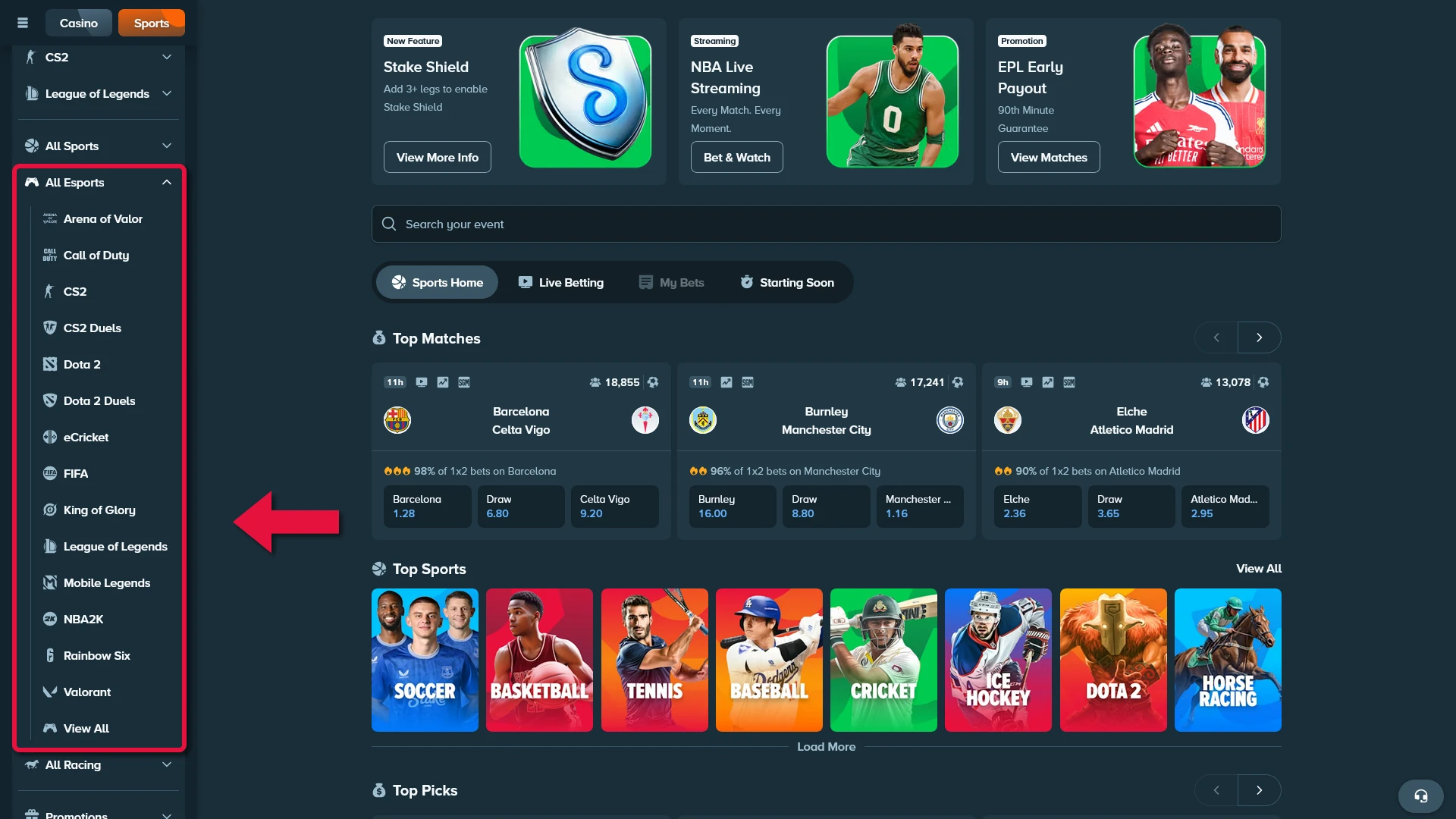 Navigate to the esports section to start betting on e-sports at Stake.