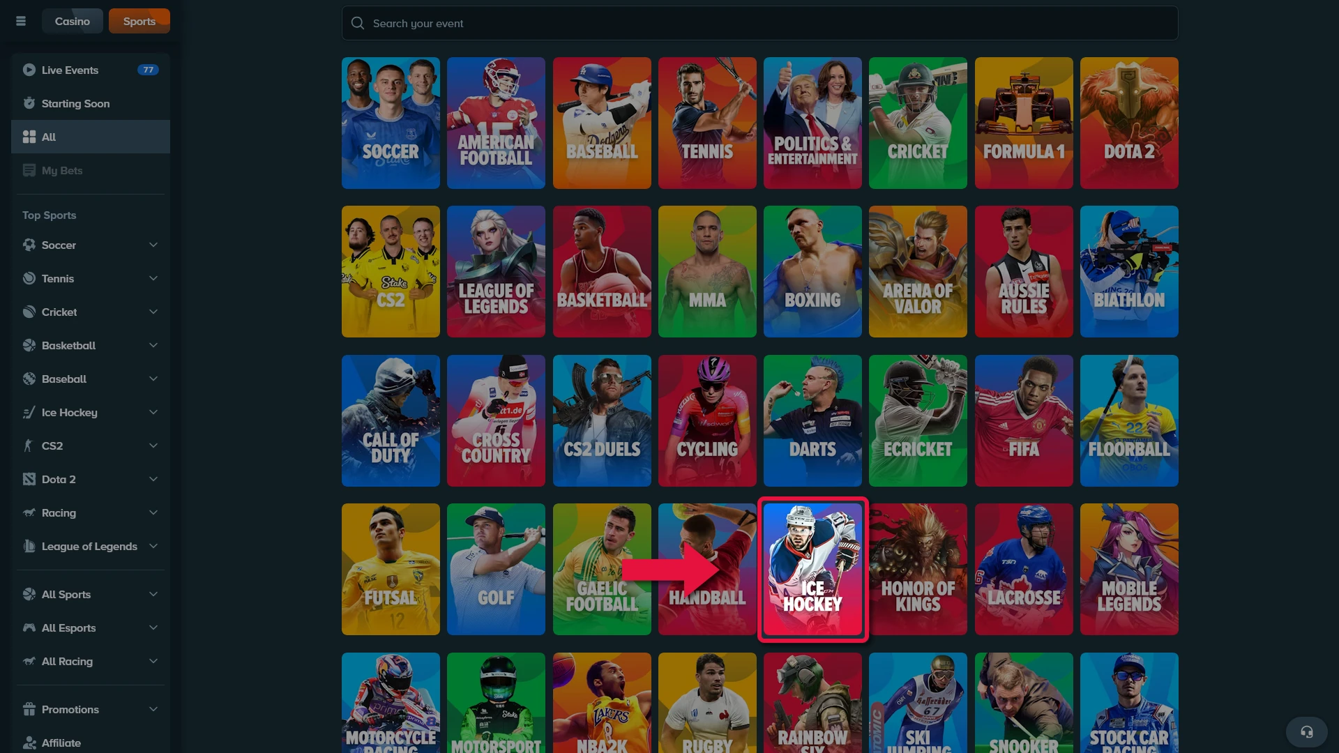 Open the comprehensive Stake sportsbook to find all available Ice Hockey events.